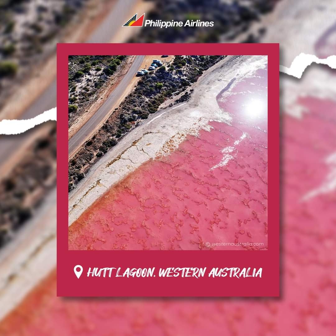 Waanderventure's tweet image. Capture 2023’s color of the year all around the world! 📸 📸

Take your pick from a stunning pink beach to colorful rock formations! 

Book your trip today with us! ✈️✈️

#GlobalTour #WCATravelAndTours #TravelBuddy #TravelBusiness #TravelAndTourism