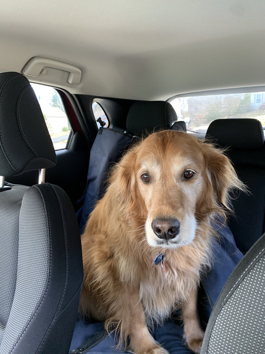 Darrel Nickerson tweet media