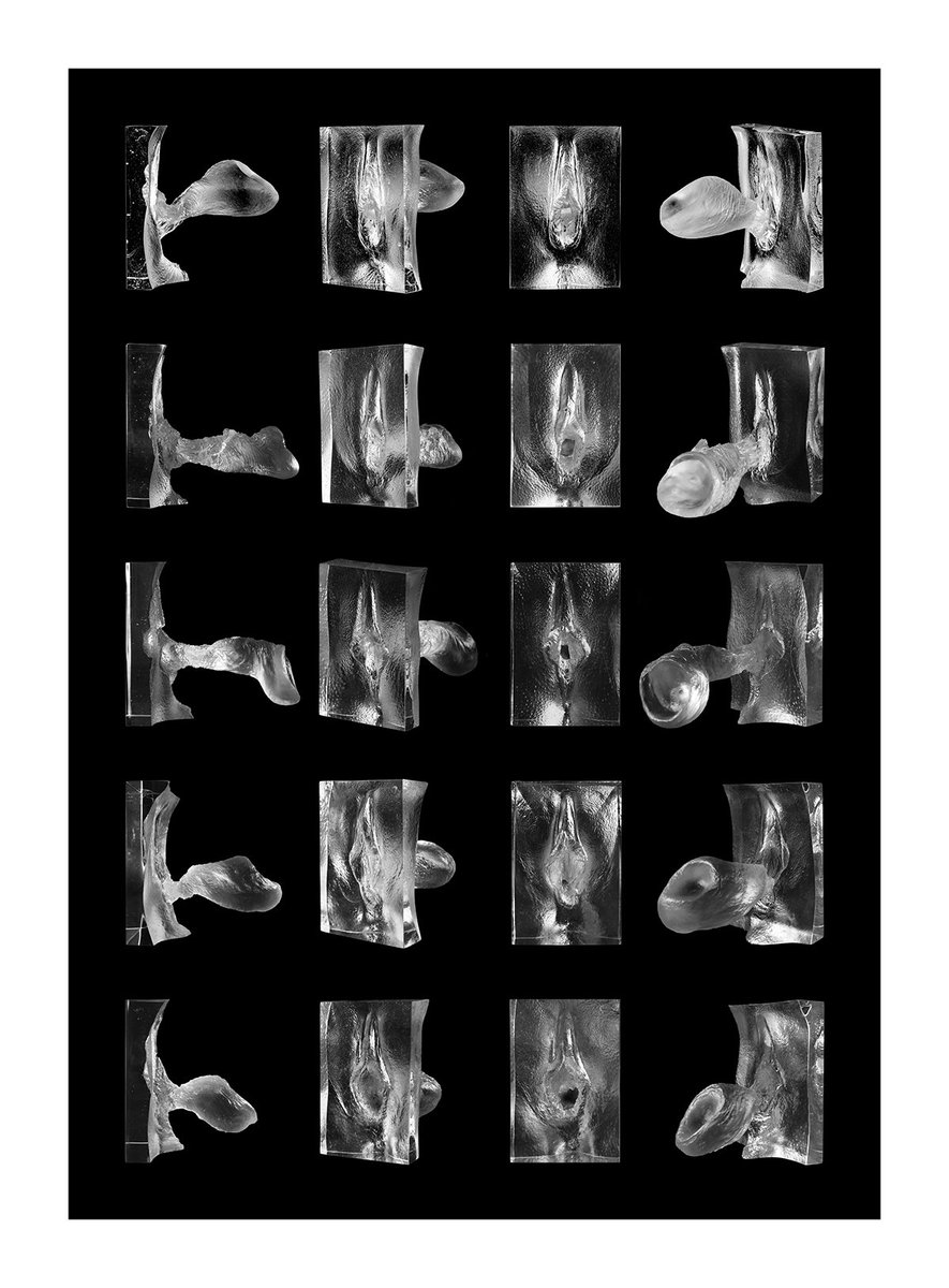 Jamie McCartney tweet media