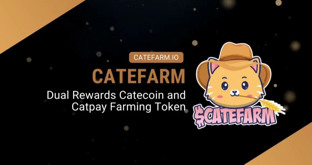 CateFarmBSC's tweet photo. $50 CATEFARM token giveaway to 3 winners. Retweet and tag 3 friends. Minimum 300 retweets before winners are chosen.

Comment #catefarm #catecoin #catpay below.

@Trader4lyf @anndylian https://t.co/EivddiY7Cy