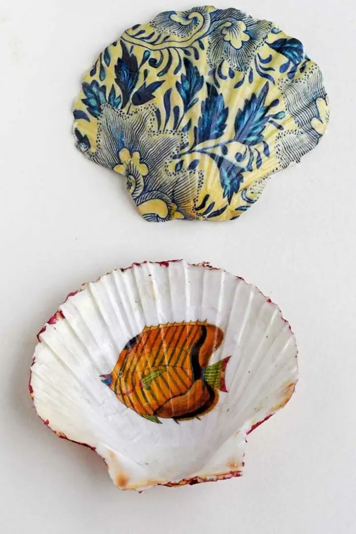 KevinCooperNH's tweet photo. Put seashells to good use by taking on some of these #crafts projects. #doityourself  https://t.co/vwwpN6mIcT https://t.co/ntiVgktnFi