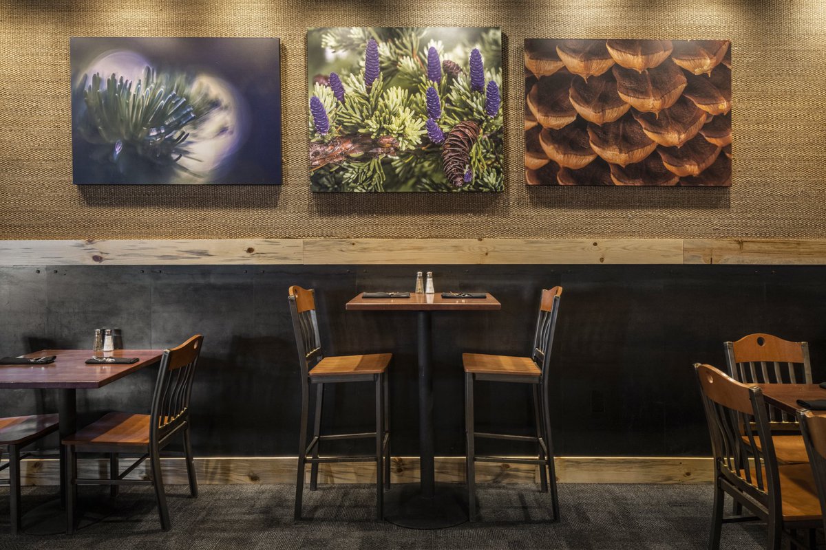 Northstar_CA's tweet photo. We’re SO excited to announce the grand opening of our new restaurant, Wild Pine! Located centrally in the heart of our Village, Wild Pine offers a family-friendly dining experience complete with hearty meals, shared plates, and signature cocktails every day from 11am-8:30pm. https://t.co/WhuvHvxMzB