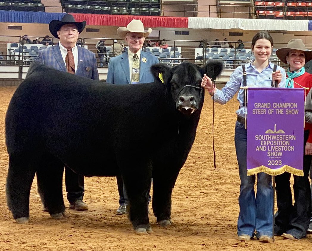 Bud Kennedy / ReadLocal on Twitter "The cattle are back in Fort Worth