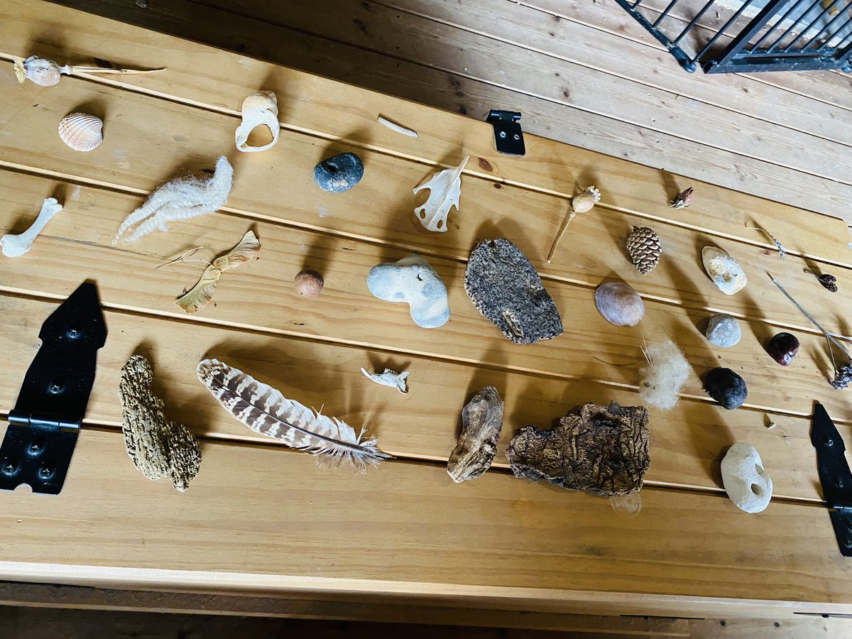 Shepherd House -  Occupational Therapy tweet media