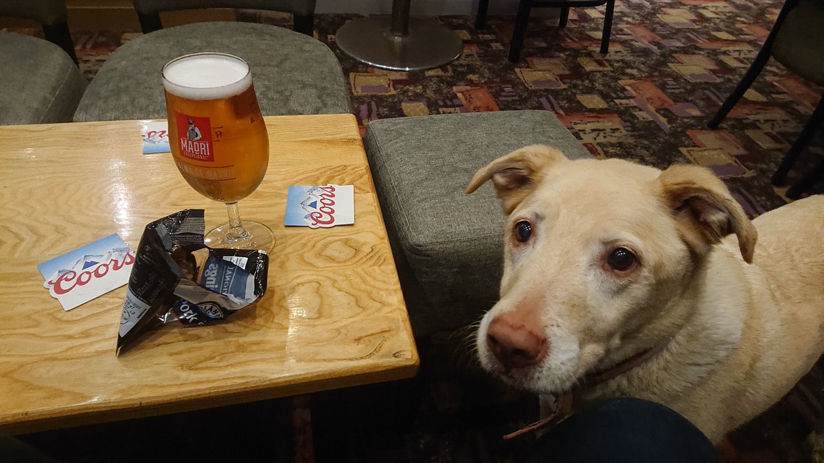 Sometimes our pets through no fault of their own suffer the consequences of our actions. So when Lottie looked at me today with those eyes that said #dryjanuary had been hard on her, not being able to enjoy her favourite pork scratchings, I knew I had to put things right. 😉😂