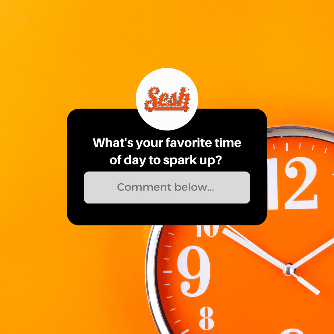 seshbycraft tweet media