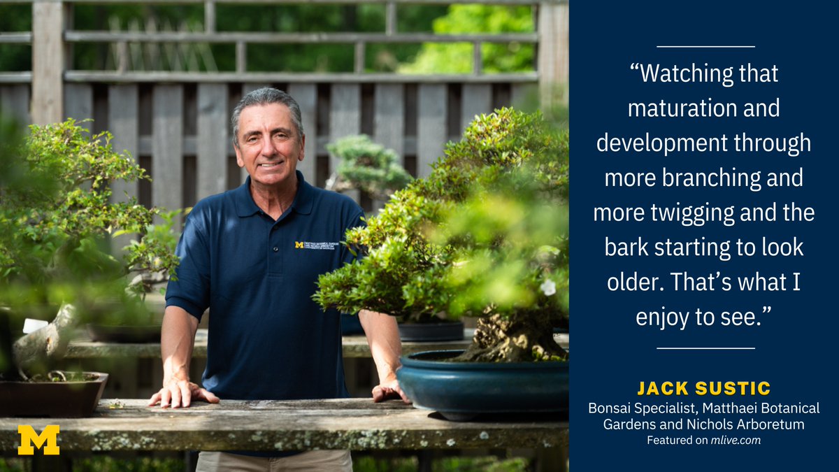 Hassan Barzani , M.A., M.S. on Twitter "RT UMich Bonsai specialist