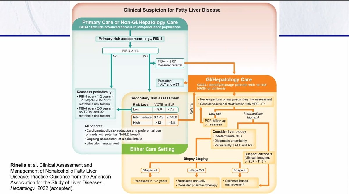 #Breaking 🔥The updated <a href="/AASLDtweets/">AASLD</a> guidance on the clinical assessment and management of nonalcoholic fatty liver disease is finally here→shorturl.at/bcmDX via <a href="/HEP_Journal/">HEPATOLOGY Journal</a> <a href="/marurinella/">Maru Rinella MD</a> <a href="/Mayo_liverdoc/">Manal Abdelmalek</a> <a href="/DavidKleiner12/">David Kleiner</a> <a href="/DrLoomba/">Rohit Loomba</a> #NAFLD #NASH #LiverTwitter #MedTwitter