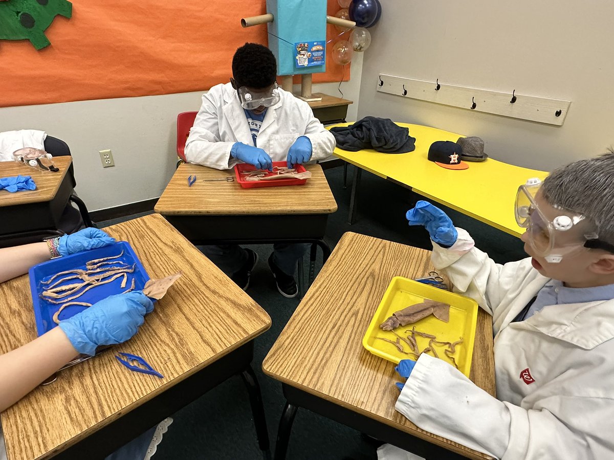 MsOnFire2Nspir3's tweet photo. It’s Dissection Day with Coding with a Twist, LLC:iCan STEM! The squid 🦑 was our specimens of choice today! The bright scholars of Heritage Preparatory School braved through the anatomy with ease! See you next week!
#ChristianEducator #OnFireToInspire #SquidDissection #iCanSTEM https://t.co/36DbUq4eV3