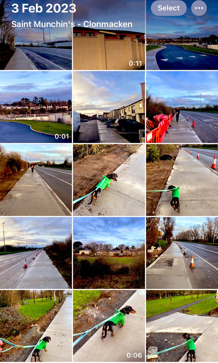 Limerick Ryan tweet media