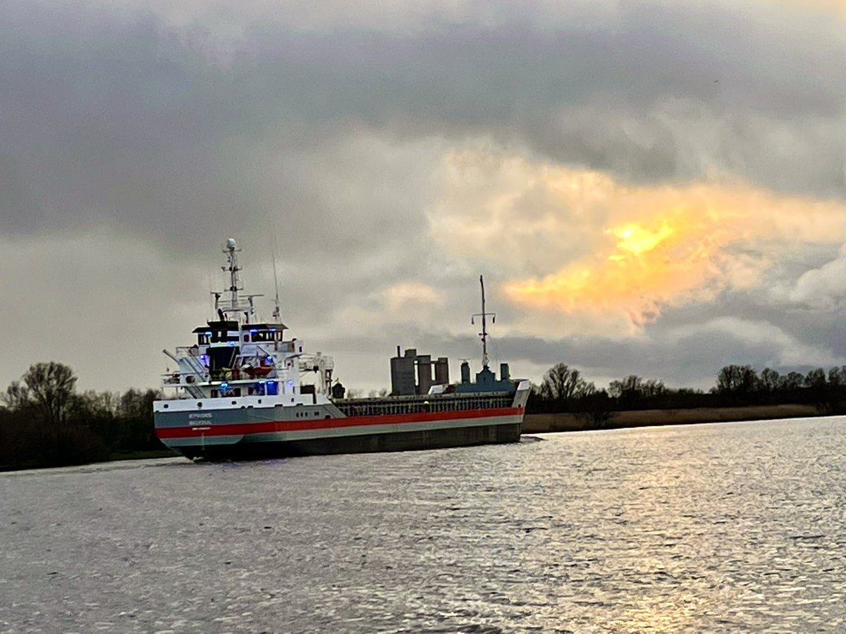 Limerick Ryan tweet media