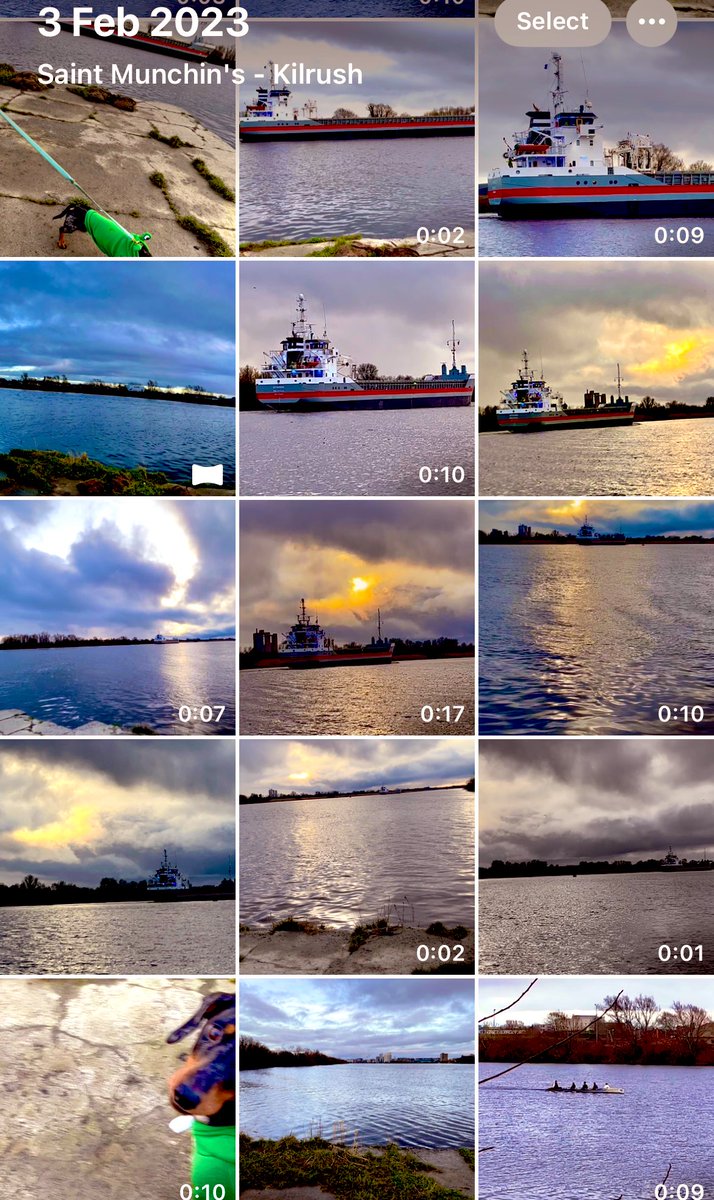 Limerick Ryan tweet media