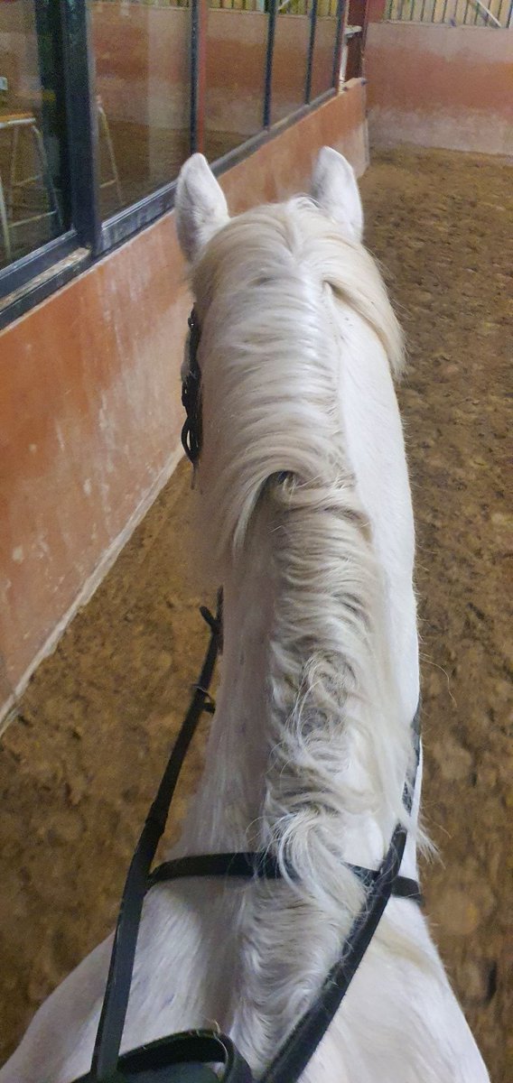 Over the moon to be back in the saddle after 3 months