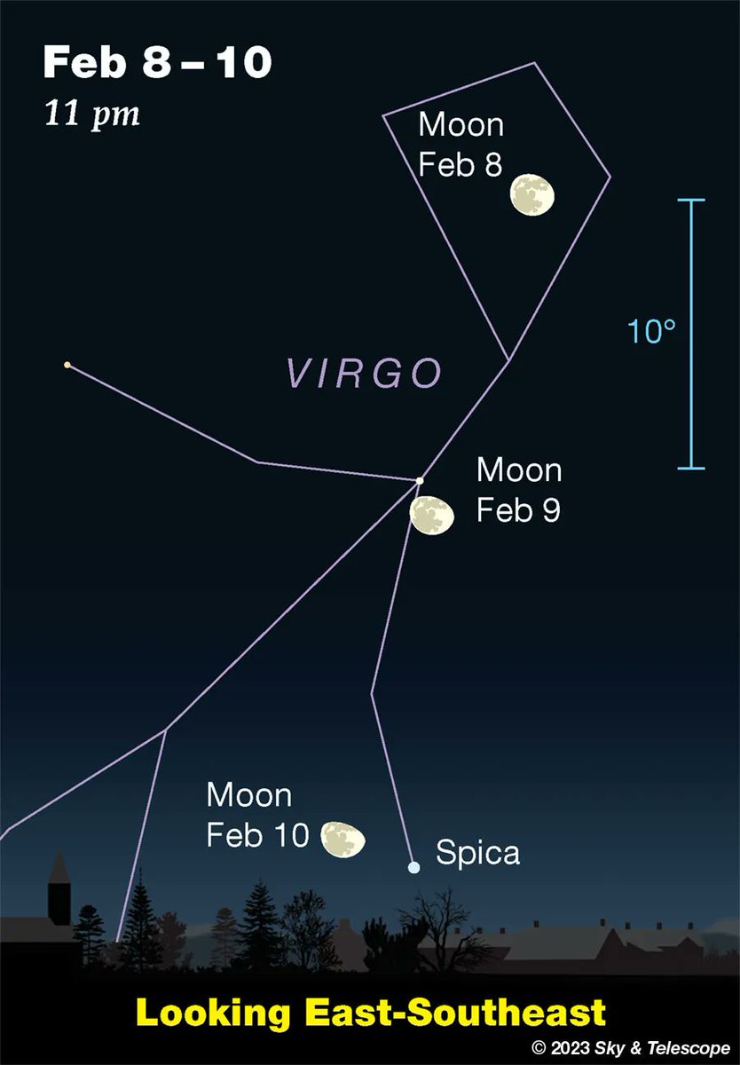 SkyandTelescope's tweet photo. The nearly full Moon shines just below Pollux and Castor this evening. It forms a straight line with them when the stars come out over the eastern Canadian Maritimes. The line becomes slightly curved by the time of dusk for the rest of the continent.
https://t.co/995Yp3rbGM https://t.co/Zleb389Et1
