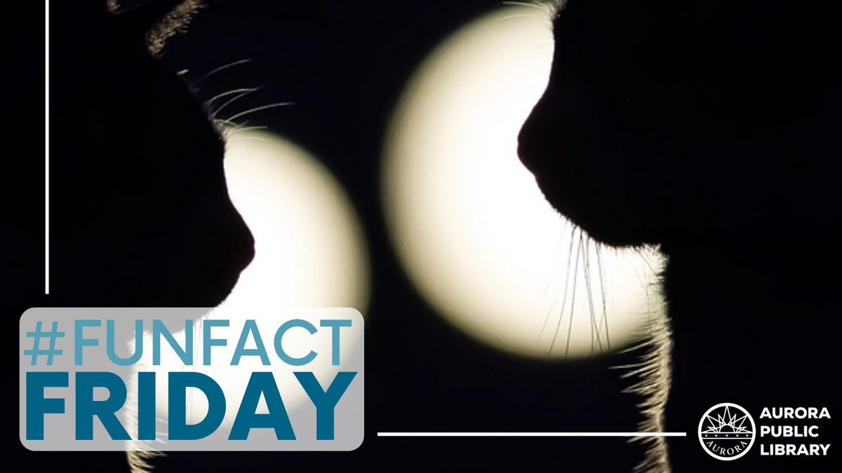 AuroraLibraryCO's tweet photo. It's #FunFactFriday π Did you know... Cat urine glows under black light.
#APLReadingrocks #AuroraColorado #FunFact https://t.co/27wOdNQmYy