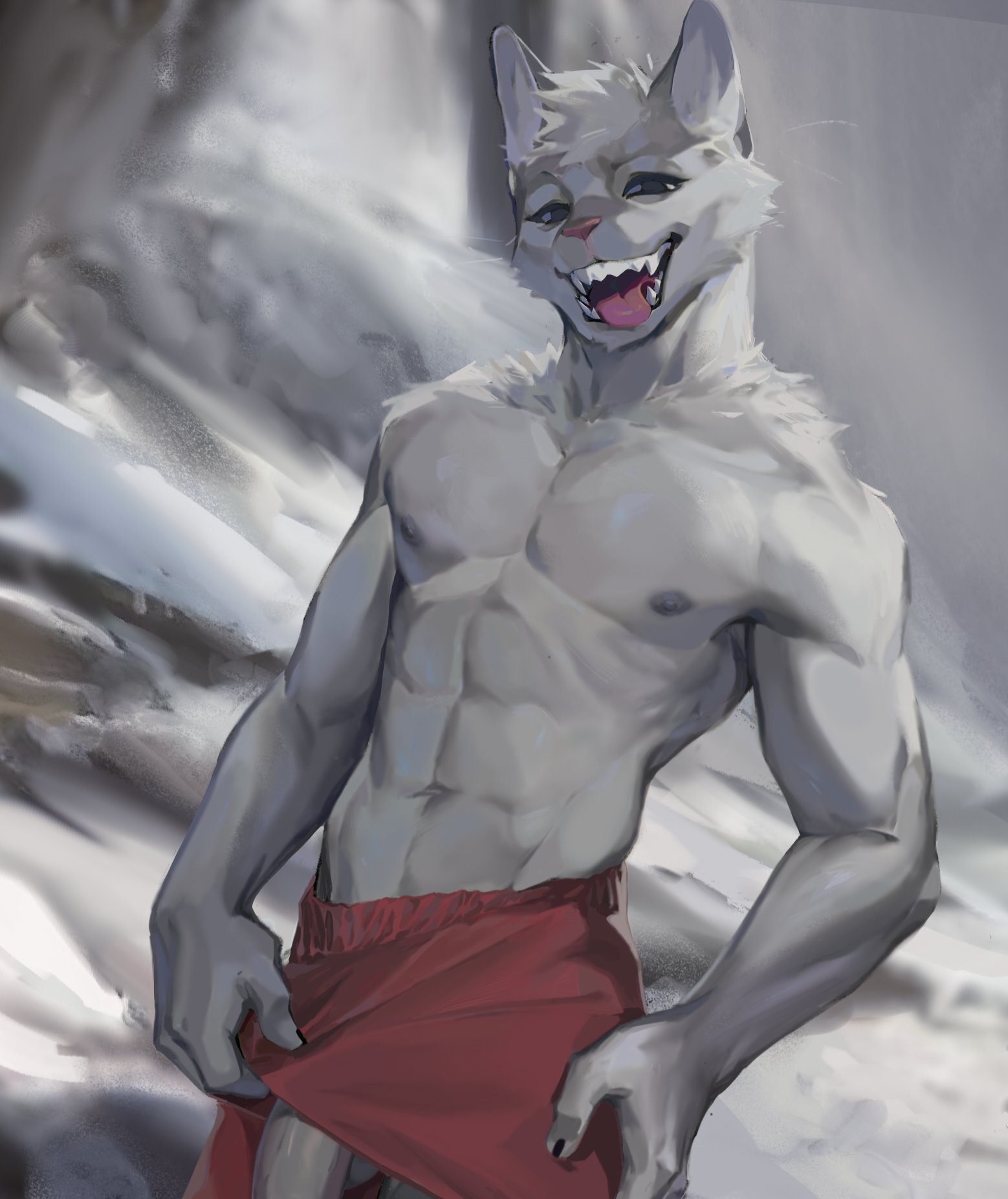 Mawarisaka3 on X: Cats may need your warmth.😼❄️ t.col4M0fVsMsm   X