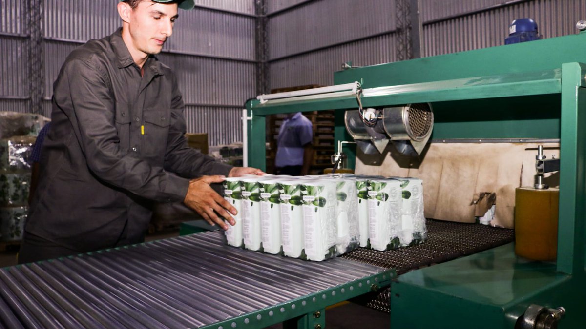 #LaChacra Nuevas inversiones con el apoyo del Estado para exportar té verde misionero economis.com.ar/nuevas-inversi…