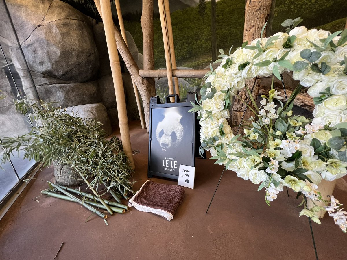 Rest easy, sweet boy.
Thank you to Holliday Flowers for this beautiful arrangement. If you’d like to leave a note or flowers for Le Le, we’ll be open tomorrow