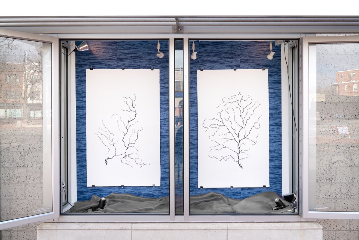 ashtuni's tweet image. All good things end. The last pics from my #publicart #installation, a part of my project #Waterlines. Art by @mindhuecreation, photos by #YorgosEfthymiadis.