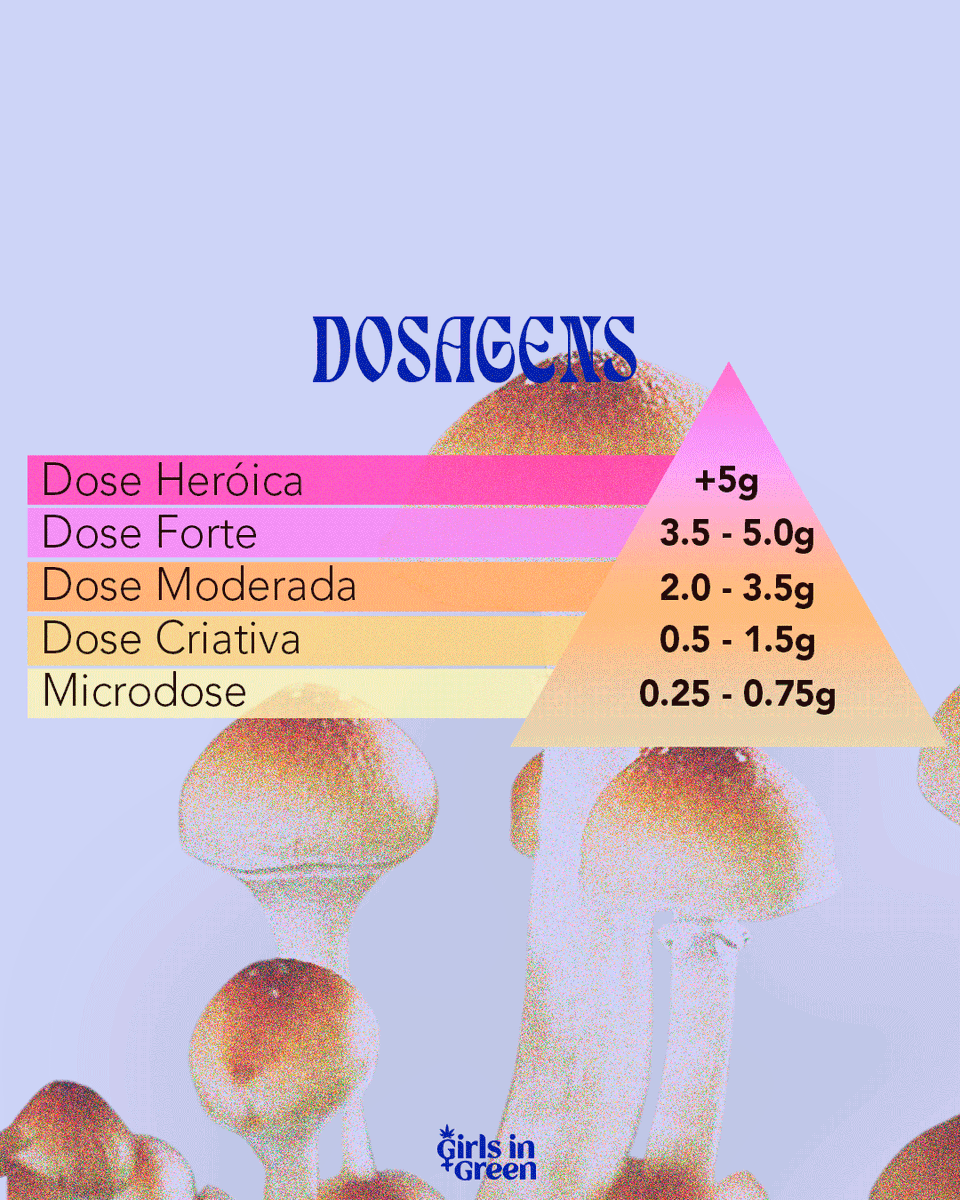 GirlsInGreen710's tweet photo. NÓS ❤ COGUS!

Os cogumelos ricos em psil0cibina são criaturinhas fascinantes.🍄

Quer saber mais? Clica aqui! 
https://t.co/HB0pRuQzaw https://t.co/lFLCEuzGJw