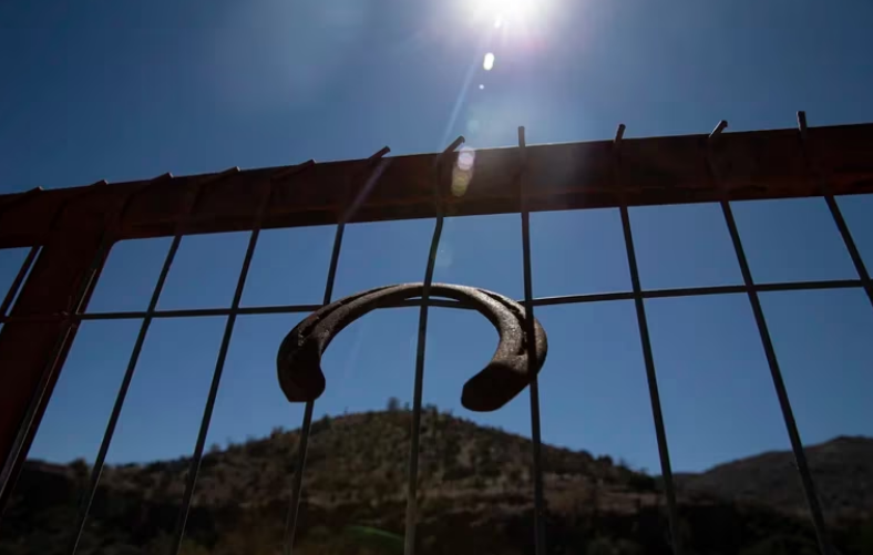 Ola de calor en Chile: alcaldes pidieron suspender faenas agrícolas por altas temperaturas bit.ly/3JFF3YH #NM935