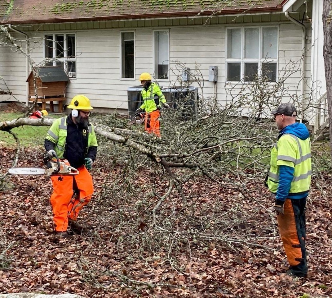 UofOCPFM's tweet photo. Red Horse Chestnut Tree (Aesculus x carnea) sustained major damage from a recent weather event. The tree split nearly in half so removal was the only solution. Removing this tree provided opportunity to do a hands on chainsaw training with the grounds team #HowDucksWork @uoregon https://t.co/2NsubIEwnH