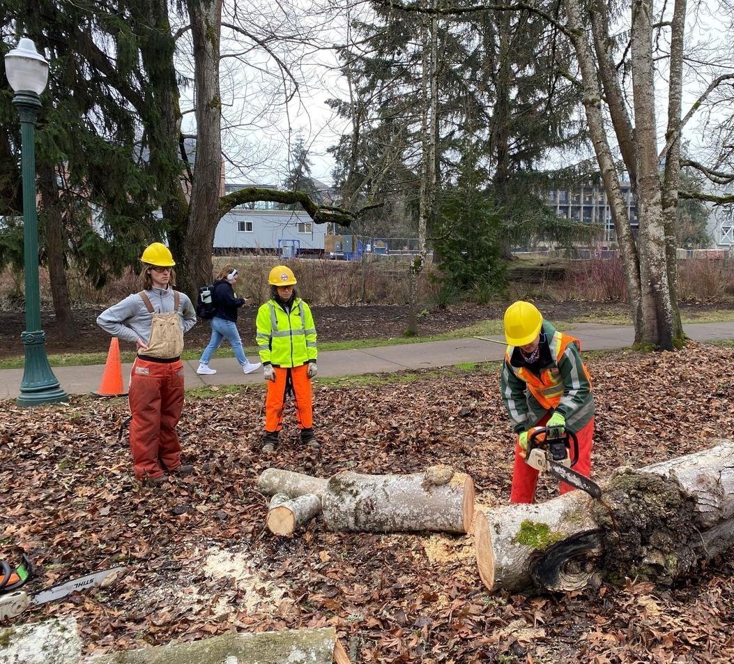 UofOCPFM's tweet photo. Red Horse Chestnut Tree (Aesculus x carnea) sustained major damage from a recent weather event. The tree split nearly in half so removal was the only solution. Removing this tree provided opportunity to do a hands on chainsaw training with the grounds team #HowDucksWork @uoregon https://t.co/2NsubIEwnH