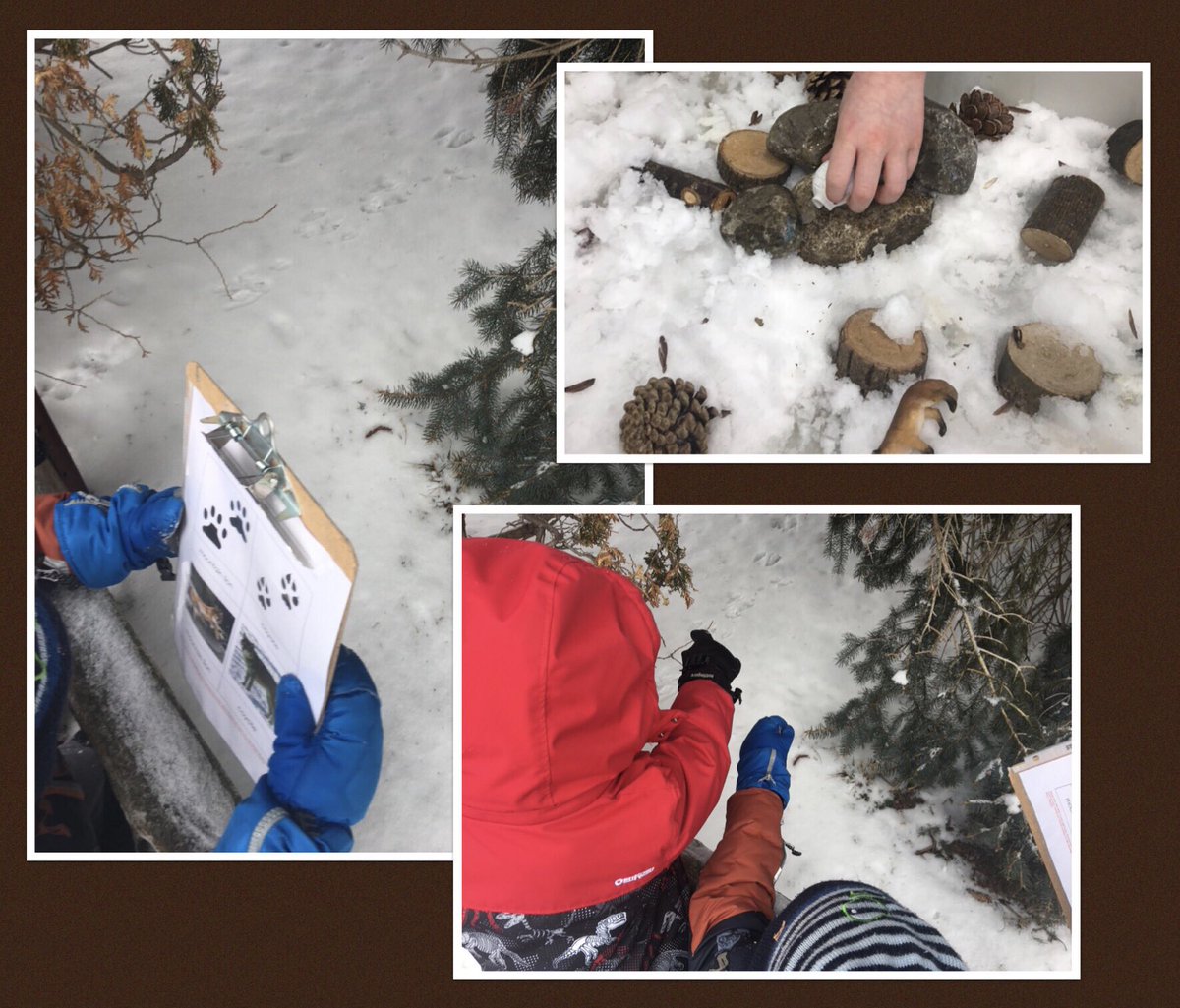 We had a lot of fun outdoors this week! We even tried snowshoeing! We stomped like a bear, danced, and helped each other up. It was lovely to see and hear! We also scouted for tracks in the snow and tried to figure out what animal it could be! Lots and lots of joy! 🐾 ❄️ 💕