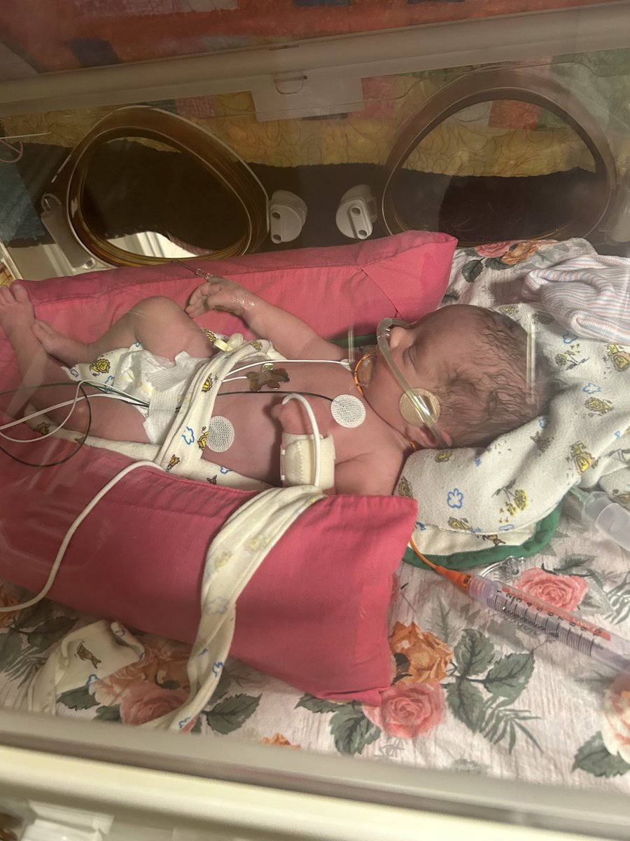 Karson Green 🏆 tweet media