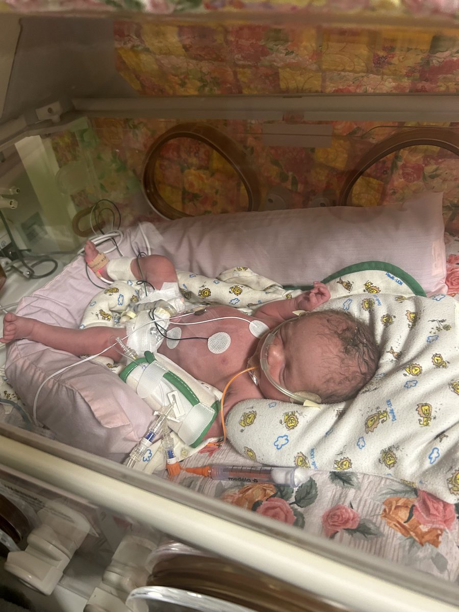 Karson Green 🏆 tweet media