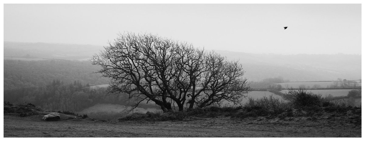 mic333.sol tweet media