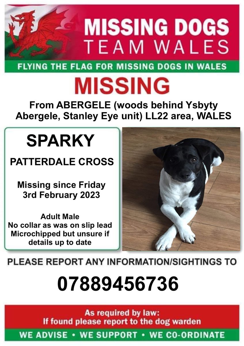 missingdogwales's tweet image. ‼️SPARKY A PATTERDALE CROSS IS MISSING FROM #ABERGELE (woods behind hospital) #LL22 area #WALES ‼️
‼️Friday 3rd February 2023
‼️Please keep a look out and ring number on poster if seen or you have safe