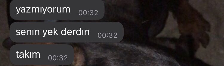 enes on Twitter: "üzgünüm sevgilim anlaşamadık"