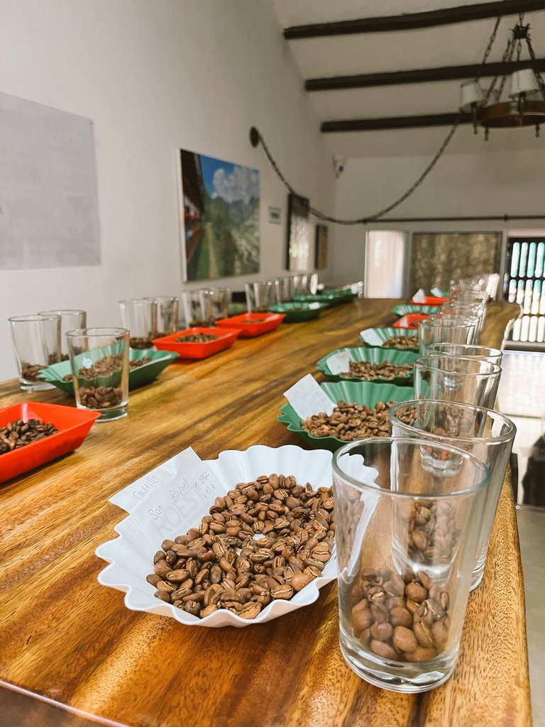 DeTolimense's tweet photo. Día de catación de muestras de café de los participantes del proyecto de monitoreo y conservación de aves migratorias en los paisajes cafeteros del Oriente del Tolima. 
@AnaCardellina https://t.co/CYX40PSeUl