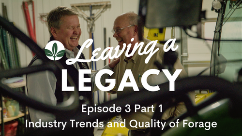 Legacy Seeds tweet media