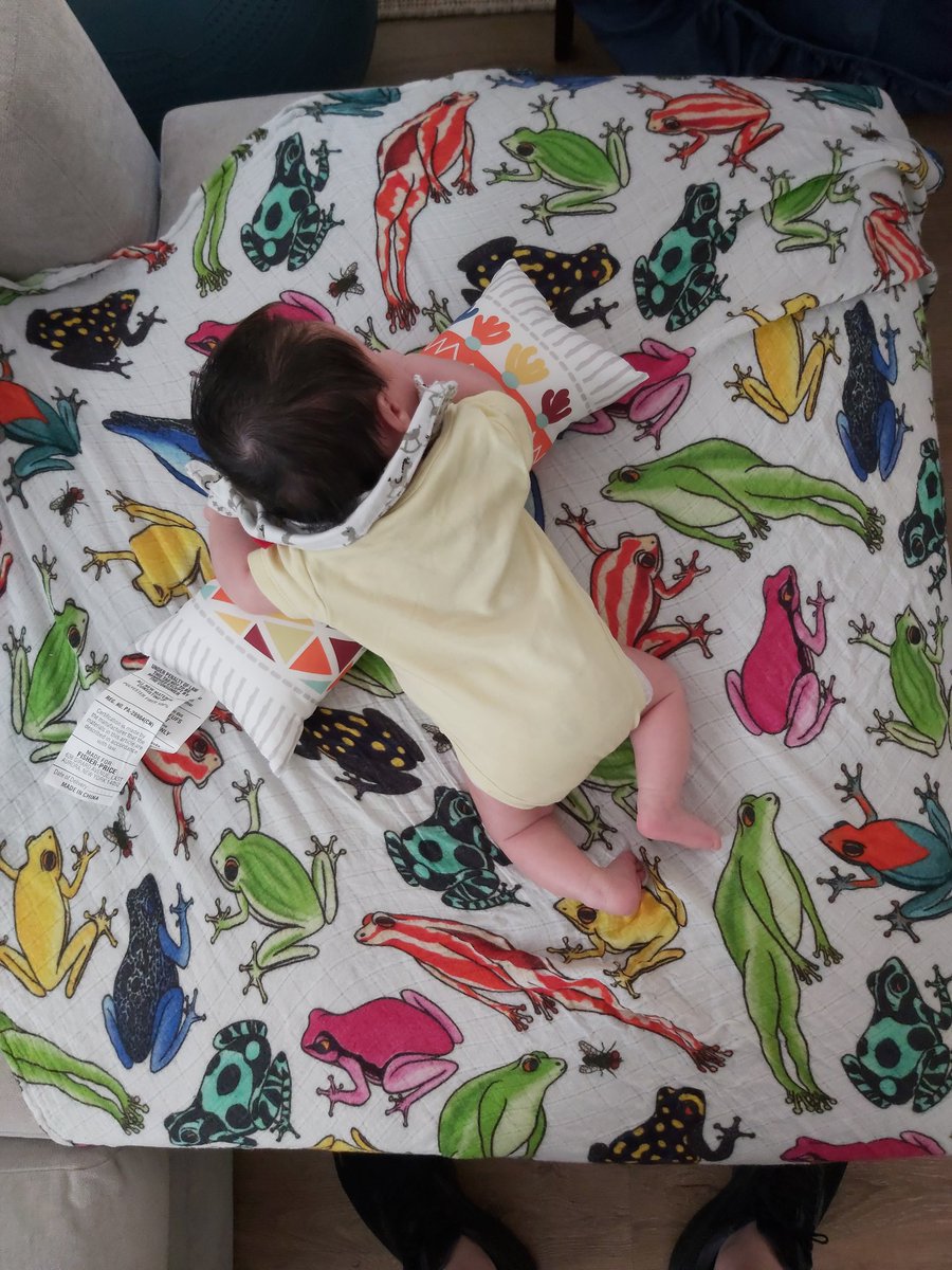 DadLifeTips's tweet image. Spot the odd frog out #DaddyDaughter #tummytime #dadlife #daddestdad #Froggo