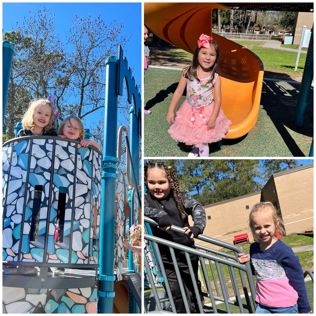 Selena Brooks tweet media