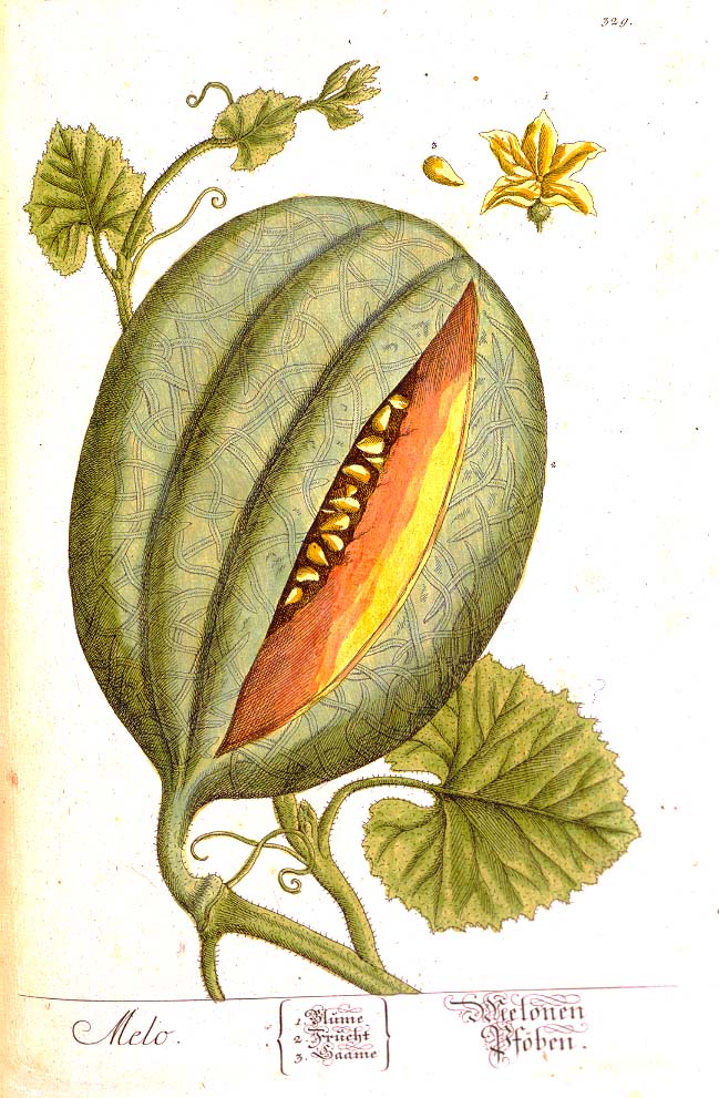 histnovsoc's tweet photo. Fascinated by historical curatives, recipes and medicinals? Browse EMROC: Early Modern Recipes Online Collective. #Historical #Curatives #Herbals #17thC #16thC
https://t.co/6RwXZd333R https://t.co/s1bHtsxHbK