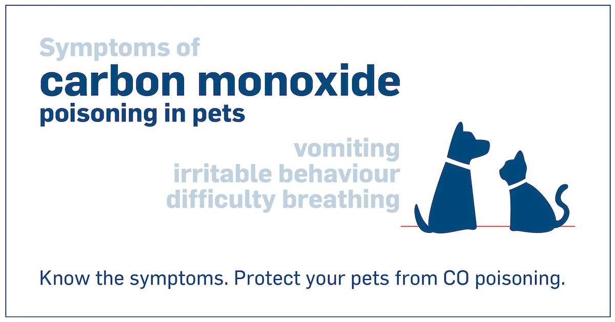 BC Office of the Fire Commissioner on Twitter "Did you know that pets