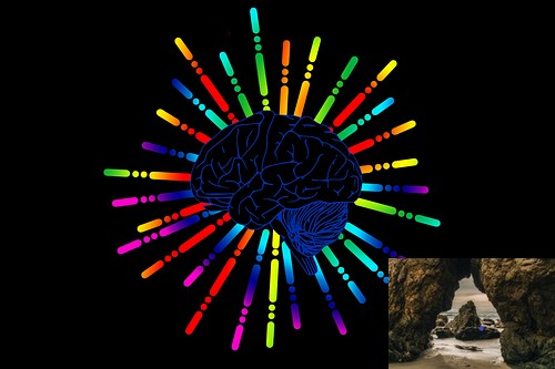 SeaGatePsych's tweet image. How Neurofeedback Can Help with ADHD | seagateps.com/how-neurofeedb…