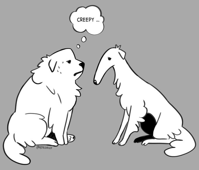 the borzoi is slenderman for great pyrenees. i will not explain 