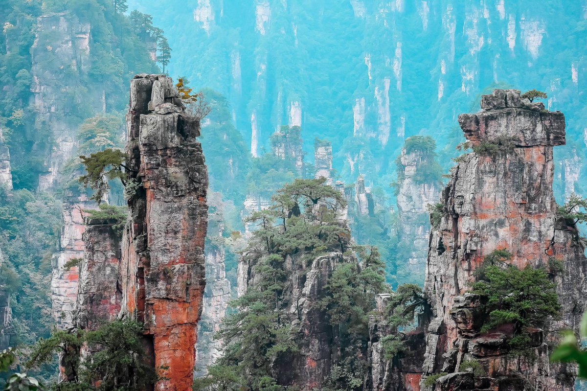 Moawia Abdelkarim tweet media