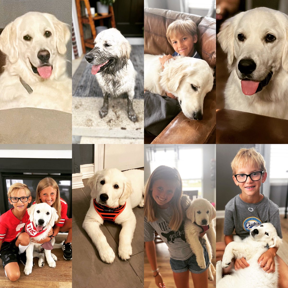 Jen Weaver tweet media