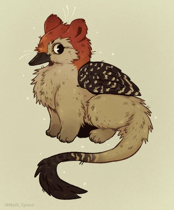 Red Bellied Woodpecker Gryphon  