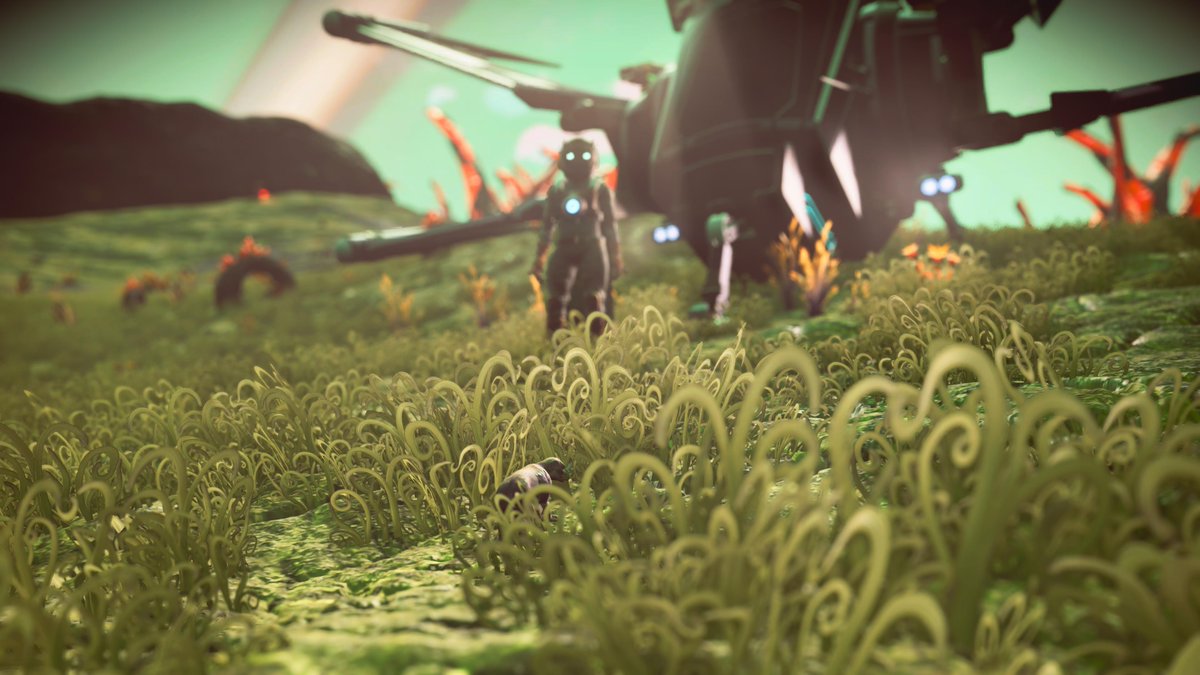 thirdpie7's tweet image. 