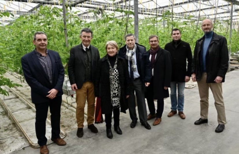 maxencedelardus's tweet photo. Visite de @Franck_LEROY_ aux confins de la @regiongrandest à Courceroy (Aube). Merci à Xavier Masson pour son accueil et bravo pour la production raisonnée de tomates cerise : économies d’eau, d’énergie, cogénération #transitionécologique #ruralité https://t.co/5bRkZu9yit
