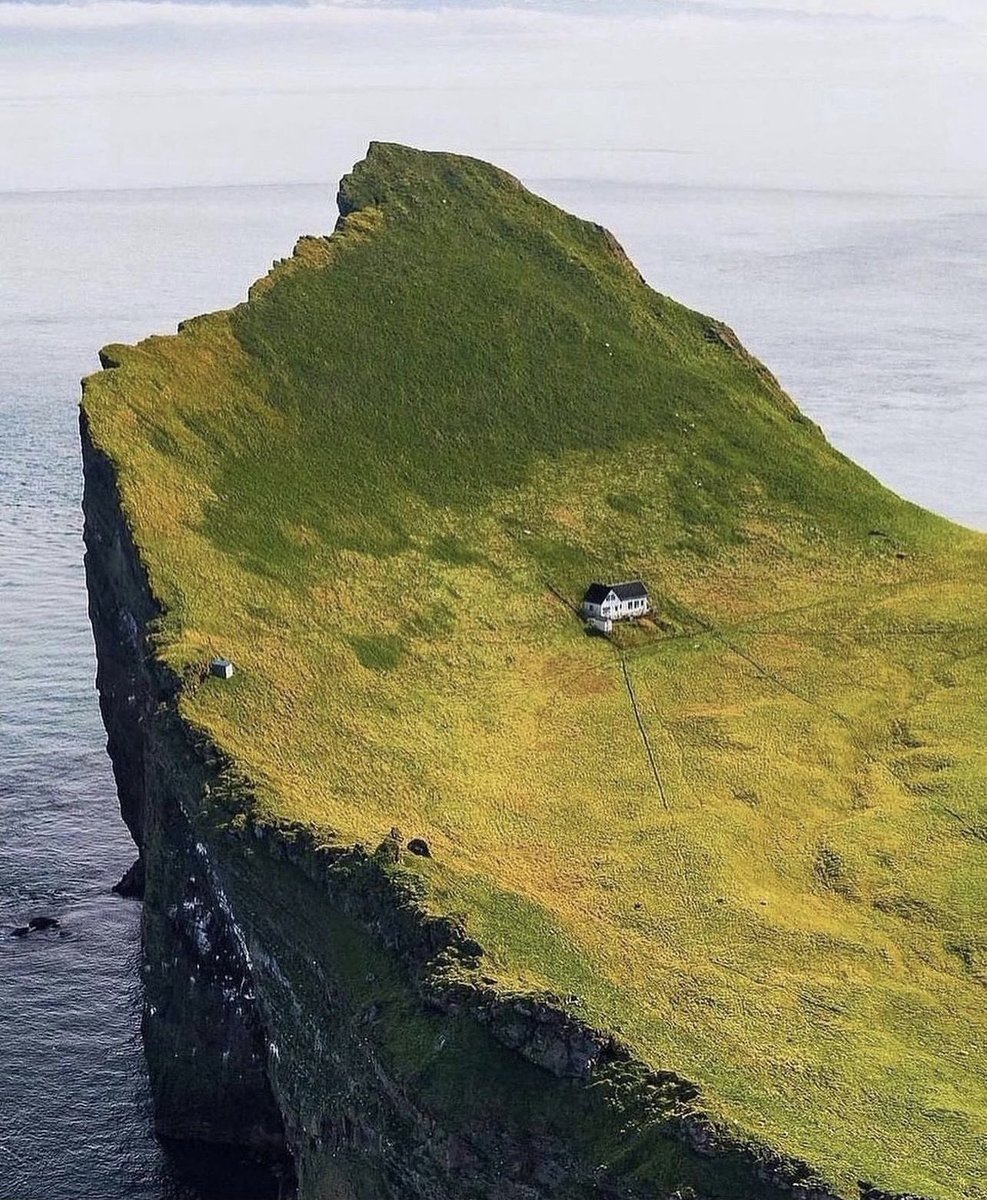 Which sign lives here
