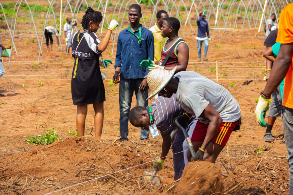 Adeife_Olabisi's tweet photo. 3 Plots of Land given to my group and I.
The journey of constructing Greenhouses, Hydroponics starts today.
Watch out for me!
#EYIA #MastercardFoundation #FarmerOlabisi #Pagnesfarm #Soillessfarming #soilessfarmlab #Samsonprolific https://t.co/cyVJxLPwEQ