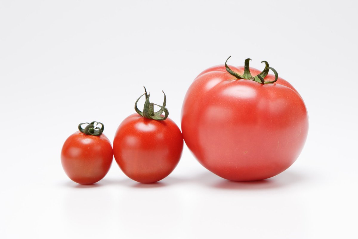 a24_srnh's tweet photo. 夕食前はトマトで食欲抑制がおすすめ🍅

▶︎カリウムで朝起きた時のむくみが減る
▶︎リコピンの効果で中性脂肪減少
▶︎プチっとした噛みごたえで満足感 https://t.co/WvmaoZQom1
