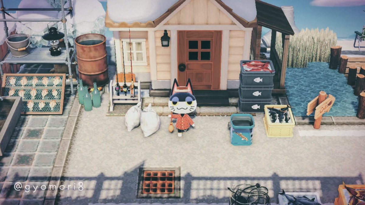 ギョモ🐟 tweet media